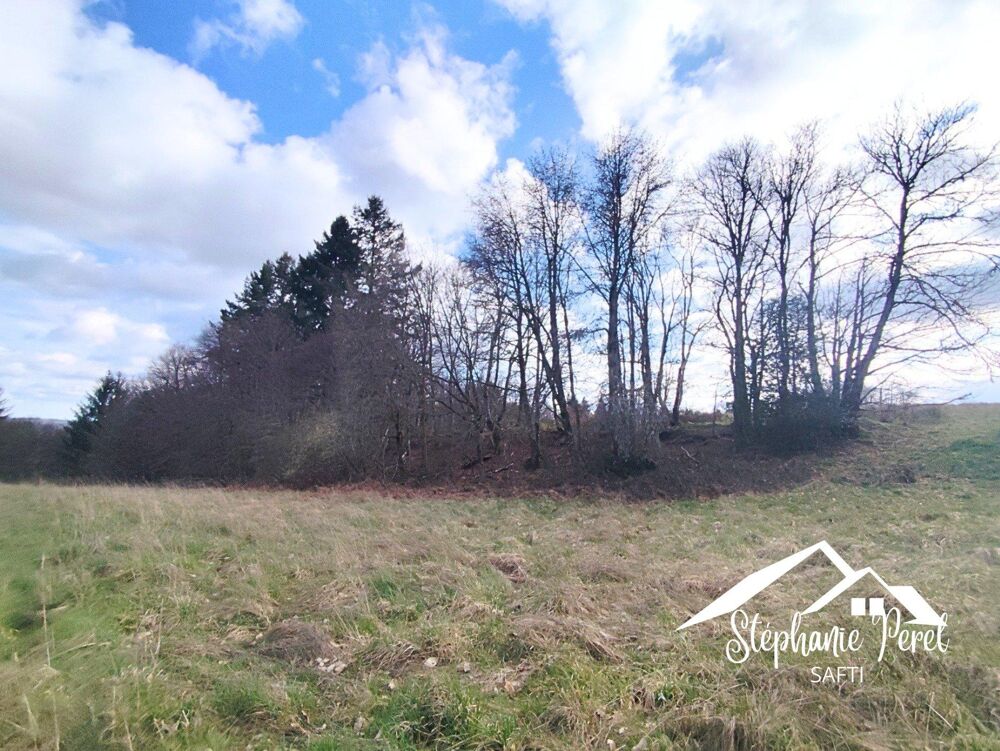 Vente Terrain Magnifique terrain agricole / pâturage – Vue imprenable Meymac