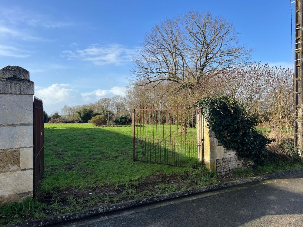 Vente Terrain Terrain constructible de 3741 m2 Nachamps