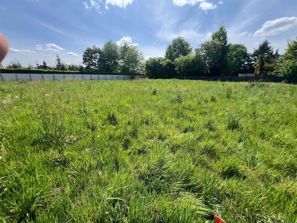 Vente Terrain terrain de 1144m2 a Moncé en Belin Monce-en-belin