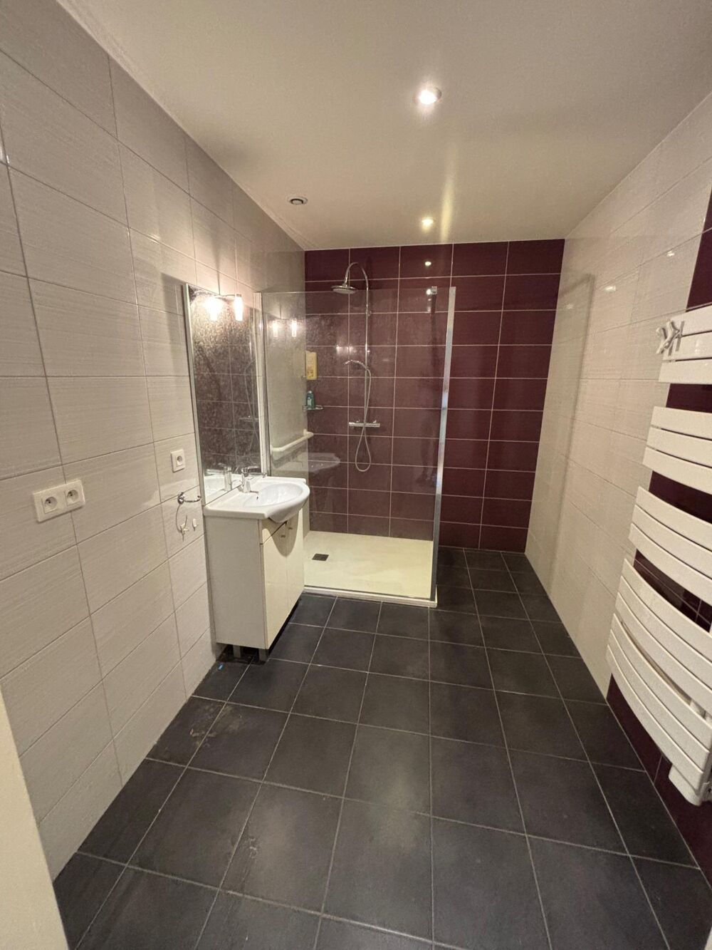 Vente Appartement Bel appartement en rez de jardin Albi