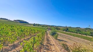  Terrain � vendre 100000 m�