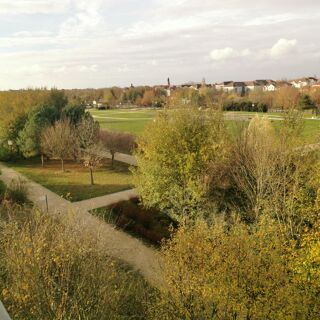  Appartement � vendre 1 pi�ce 31 m�