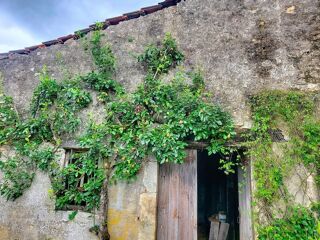  Maison � vendre 6 pi�ces 221 m�