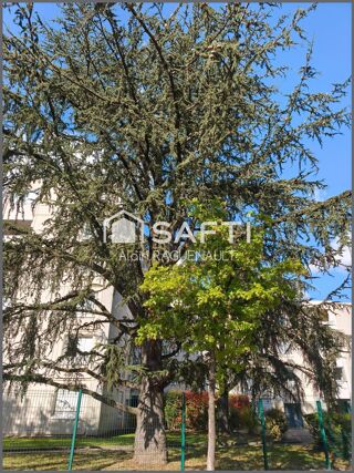  Appartement � vendre 2 pi�ces 56 m�