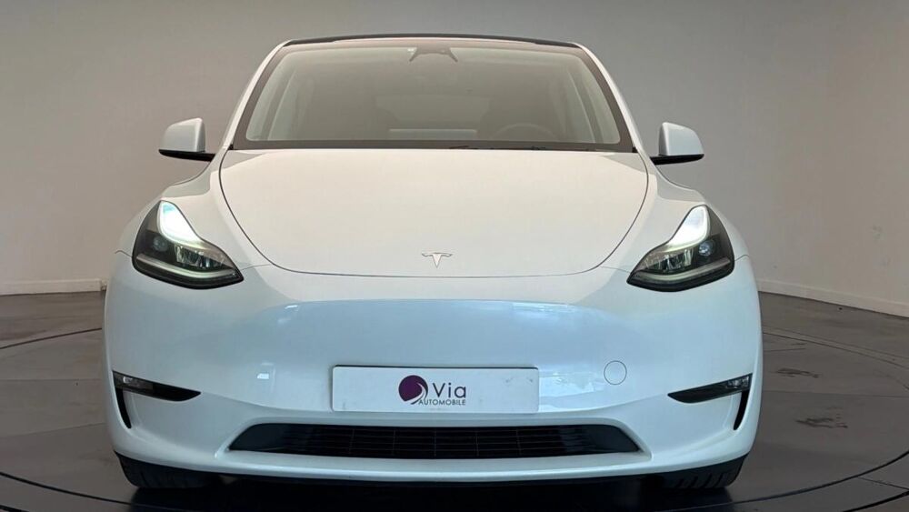 Model Y Performance Dual AWD 2023 occasion 59223 Roncq