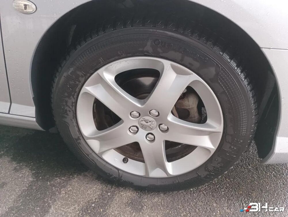 407 SW 2.0 HDI 135 PREMIUM PACK 2007 occasion 67500 Haguenau