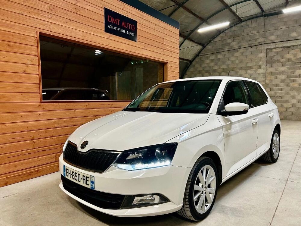 Fabia 1.0 MPI 60 GREENTEC EDITION 2017 occasion 51370 SAINT-BRICE-COURCELLES