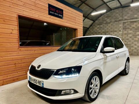 Fabia 1.0 MPI 60 GREENTEC EDITION 2017 occasion 51370 SAINT-BRICE-COURCELLES