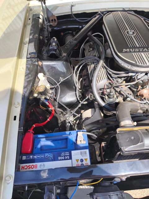 Mustang FASTBACK 1965 occasion 78410 AUBERGENVILLE