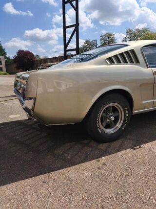 Mustang FASTBACK 1965 occasion 78410 AUBERGENVILLE