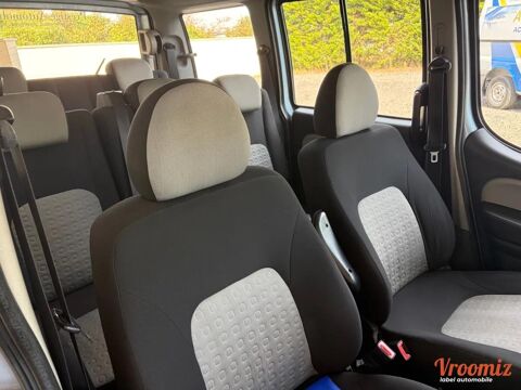 Doblo COMBI 1.9 MJT 120 FAMILY 2009 occasion 77250 &Eacute;cuelles