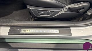 Mustang 2015 occasion 66000 Perpignan