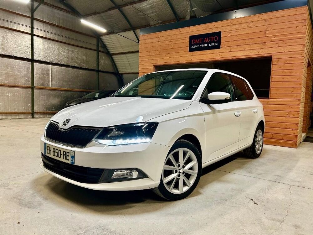 Fabia 1.0 MPI 60 GREENTEC EDITION 2017 occasion 51370 SAINT-BRICE-COURCELLES