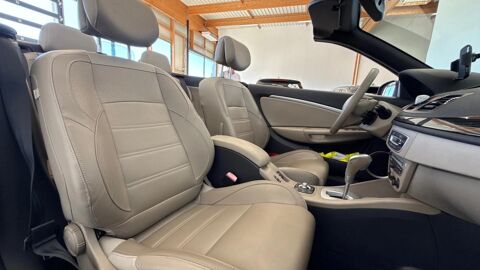 M&eacute;gane 2010 occasion 17600 Saujon