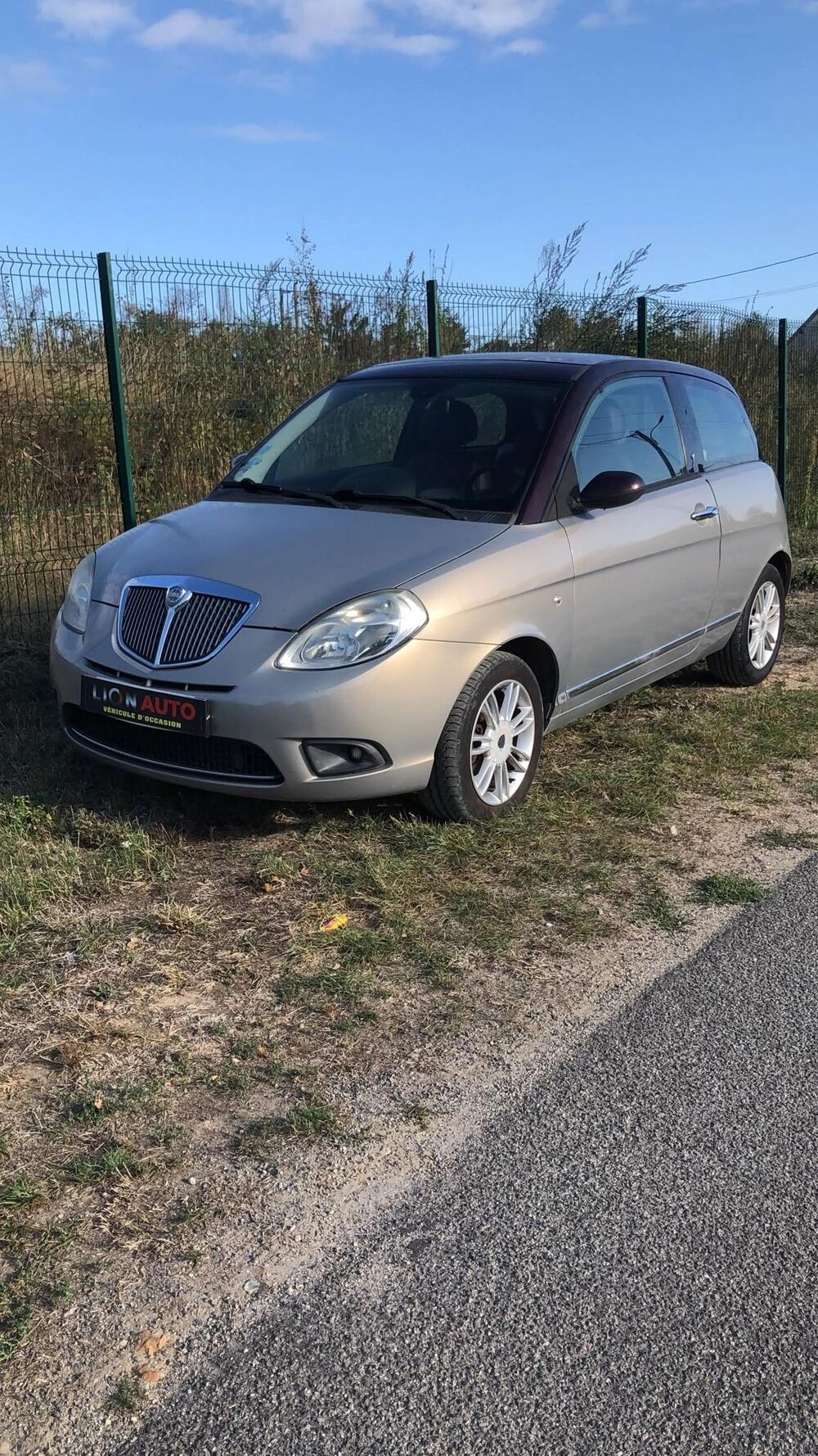 Ypsilon 2009 occasion 45600 Lion-en-Sullias