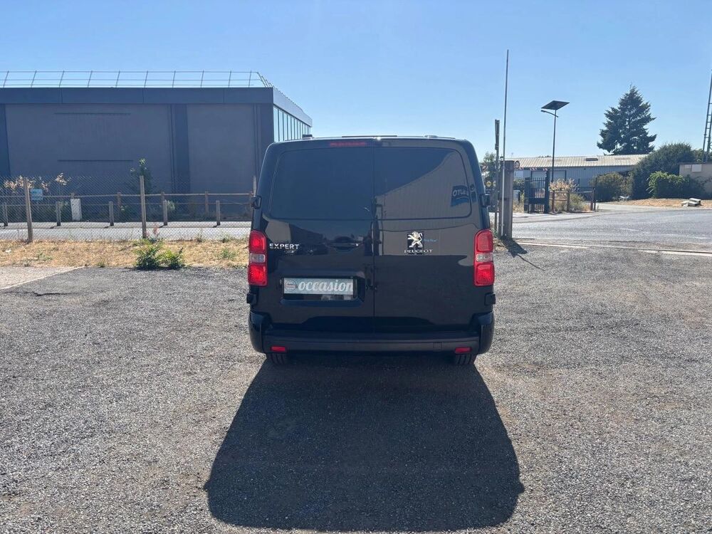Expert 2019 occasion 91670 ANGERVILLE