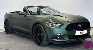 Mustang 2015 occasion 66000 Perpignan