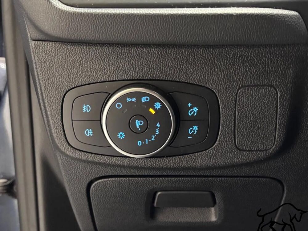 Focus BREAK 1.5 ECOBLUE 120 ST-LINE 2019 occasion 13150 TARASCON
