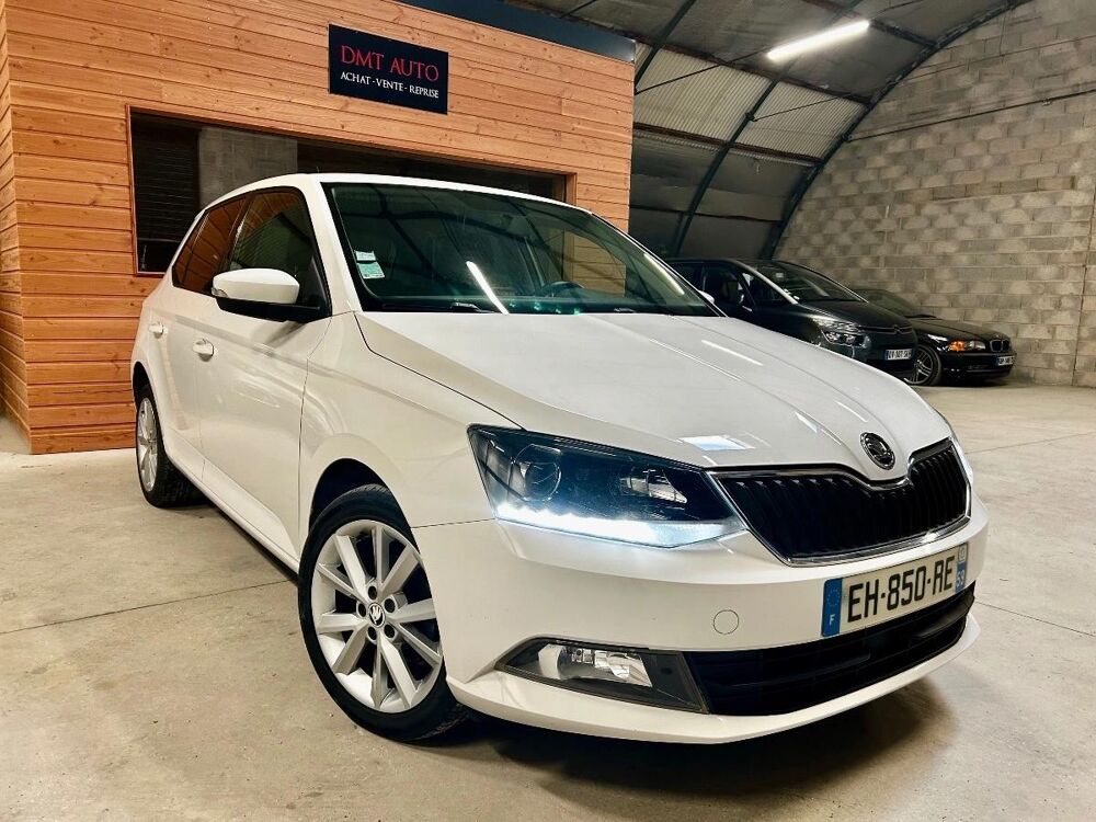 Fabia 1.0 MPI 60 GREENTEC EDITION 2017 occasion 51370 SAINT-BRICE-COURCELLES