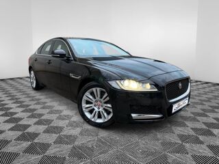 XF 2016 occasion 57190 Florange