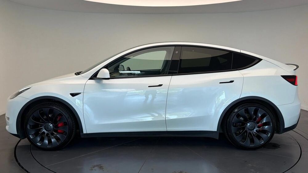 Model Y Performance Dual AWD 2023 occasion 59223 Roncq