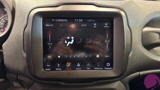 Renegade 2019 occasion 66000 Perpignan