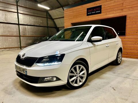 Fabia 1.0 MPI 60 GREENTEC EDITION 2017 occasion 51370 SAINT-BRICE-COURCELLES