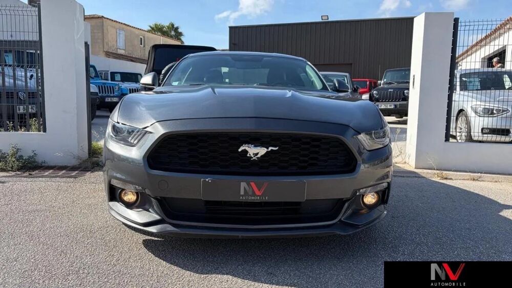 Mustang 2016 occasion 83320 Carqueiranne