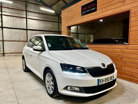 Fabia 1.0 MPI 60 GREENTEC EDITION 2017 occasion 51370 SAINT-BRICE-COURCELLES
