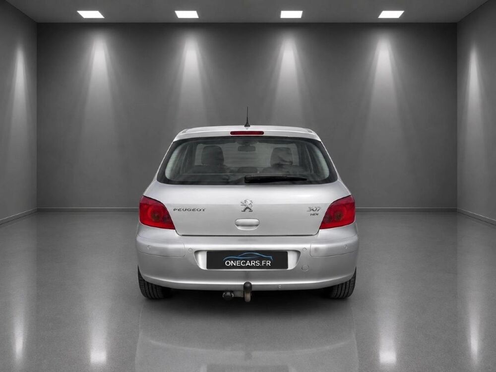 307 1.6 HDI 110 GRIFFE 2005 occasion 77700 SERRIS