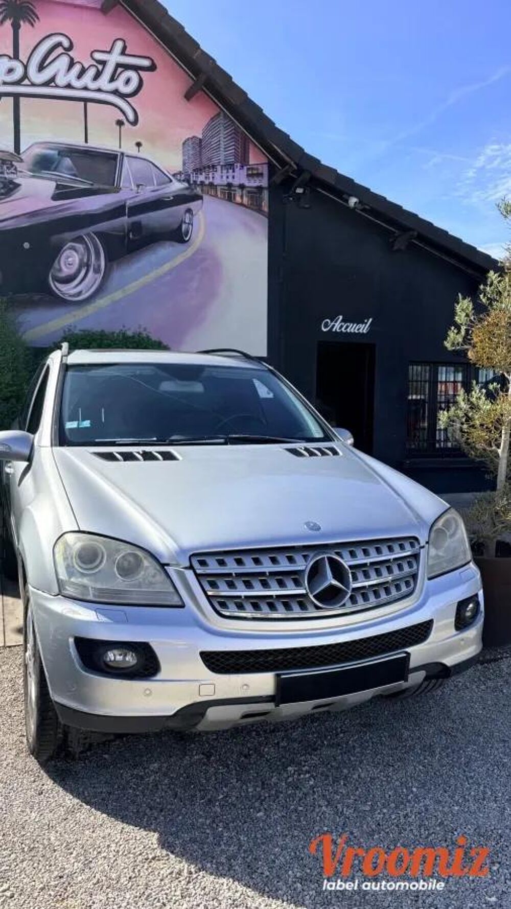 Classe M 2007 occasion 78490 Galluis