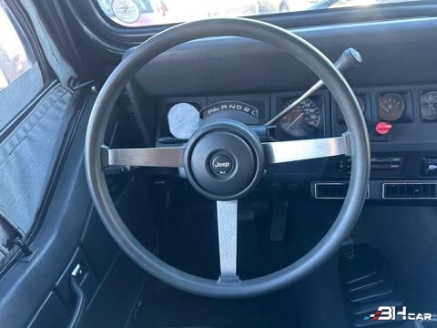 Wrangler BLACK EDITION 4.0 182CV BVA 1991 occasion 33980 Audenge