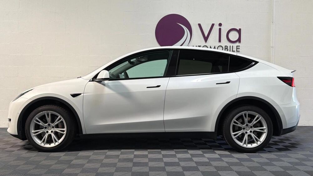 Model Y Long Range Dual AWD 2022 occasion 91380 Chilly-Mazarin