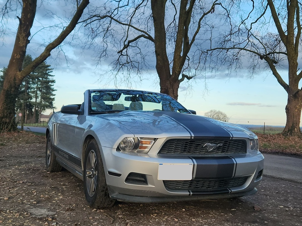 Mustang CABRIOLET V6 305 CH BVA - 24900€ 2010 occasion 60300 SENLIS