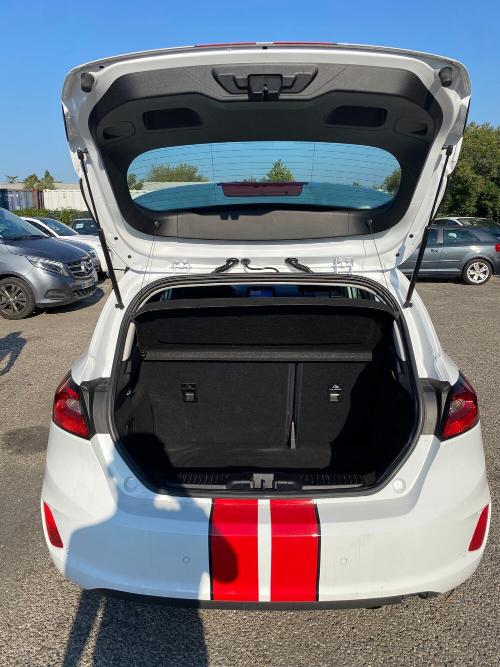 Fiesta VII 1.0 ECOBOOST FLEX FUEL 95CV GARANTIE 1AN 2022 occasion 84320 ENTRAIGUES-SUR-LA-SORGUE