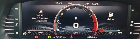 Fabia 1.5 TSI 150Ch MONTE CARLO DSG7 CARPLAY / TOIT PANO / CAMERA 2023 occasion 34500 B&eacute;ziers