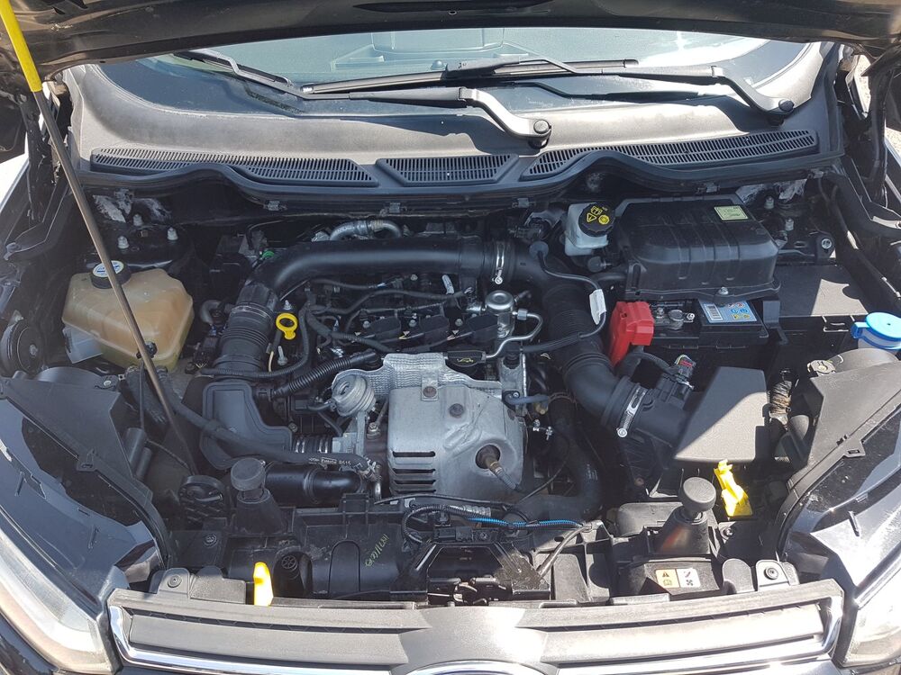 Ecosport 1.0 SCTI 125 Titanium Bvm 123.008 Km 2014 occasion 91310 Longpont-sur-Orge