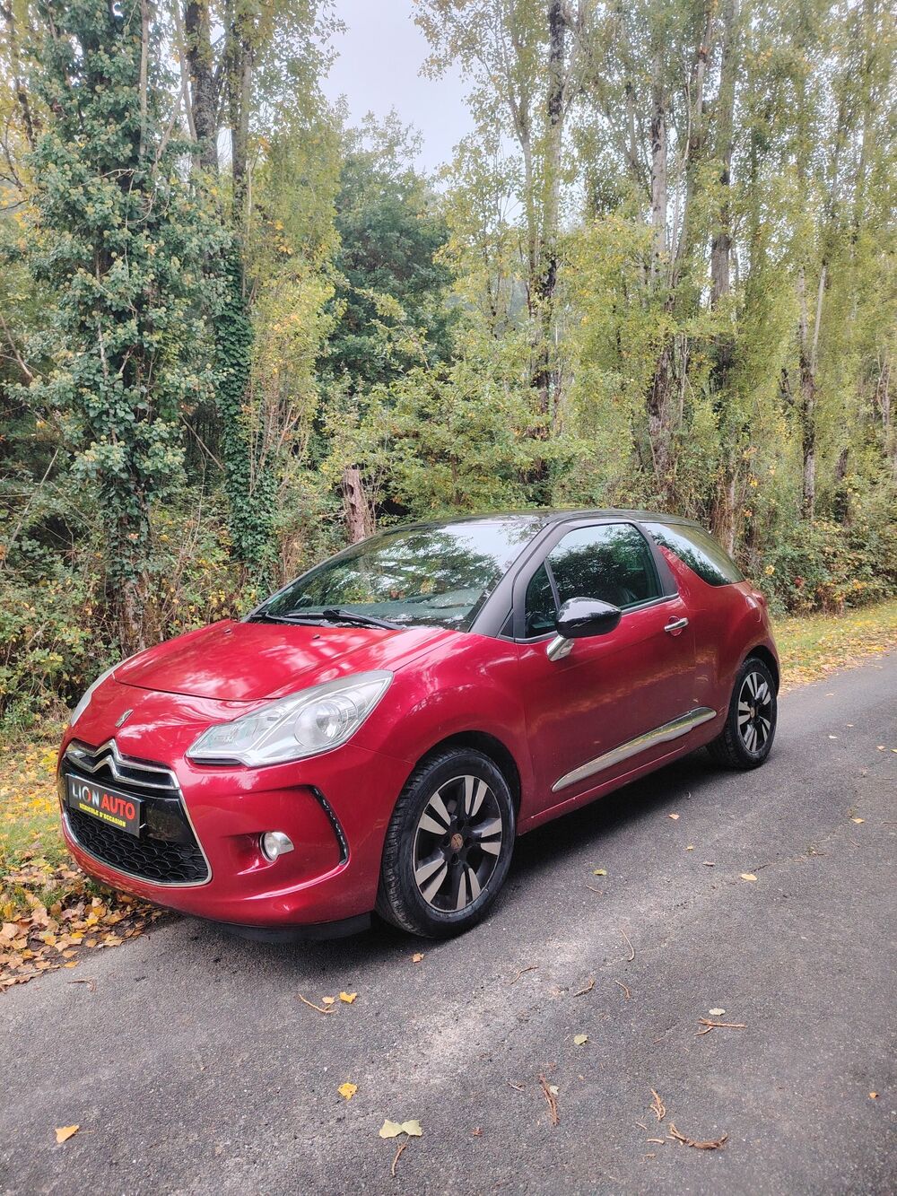 DS3 1.6HDi Kit de distribution ok 2010 occasion 45600 Lion-en-Sullias