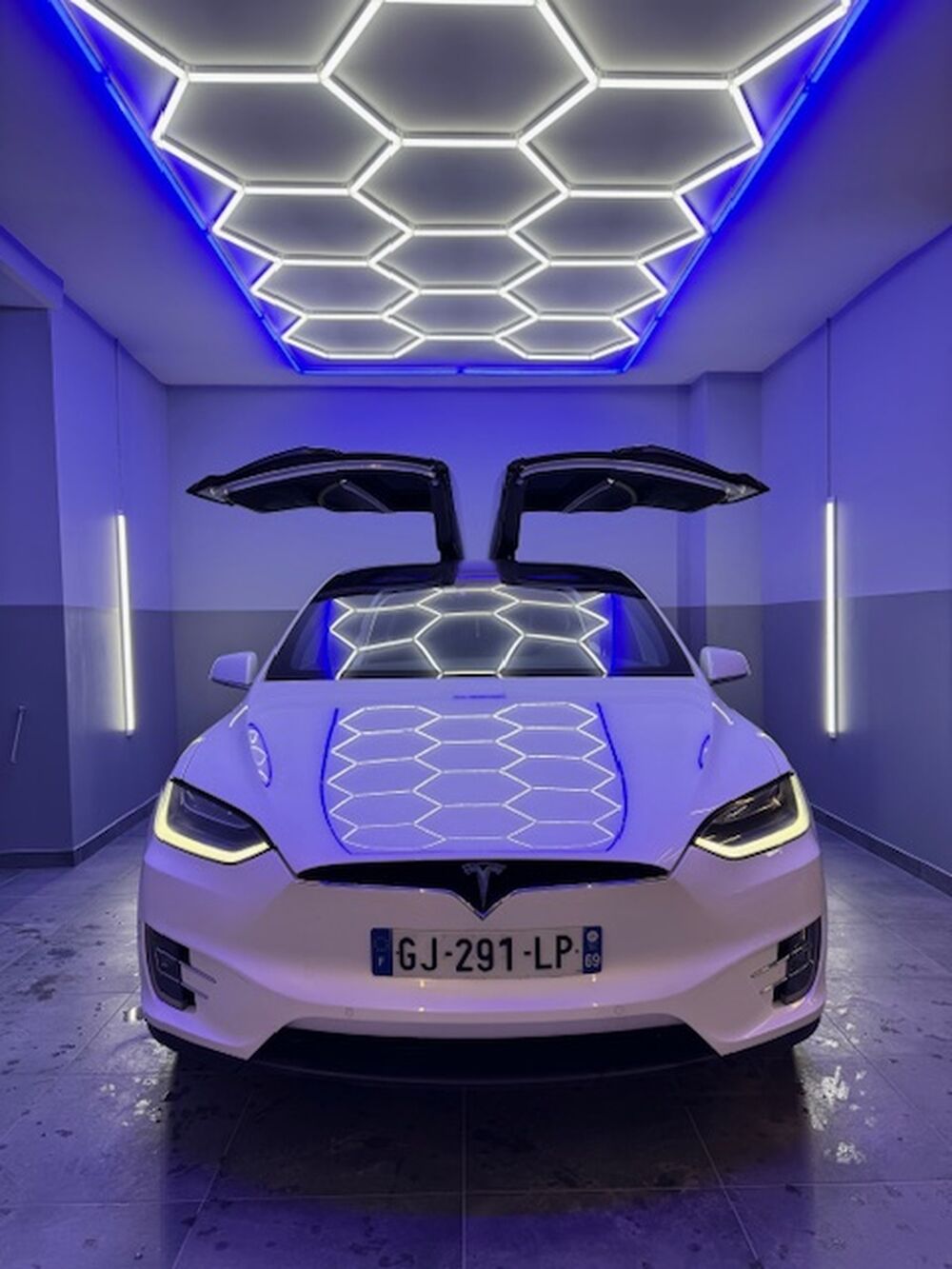 Model X TESLA MODEL X 525CV 75D TVA RECUPERABLE garantie TESLA 2017 occasion 69126 BRINDAS
