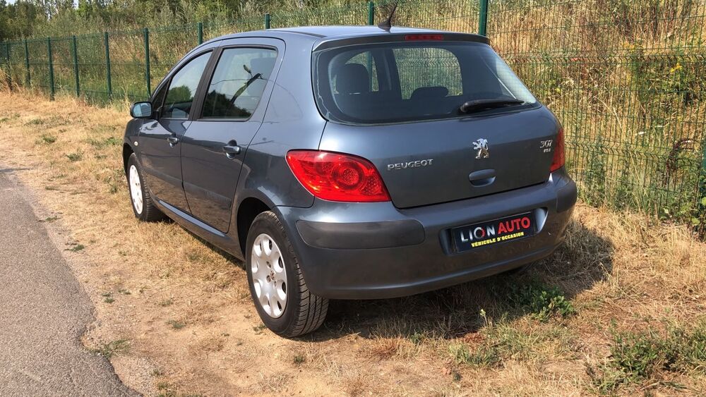 307 PHASE 2 1.6HDI 90CV 2007 occasion 45600 Lion-en-Sullias