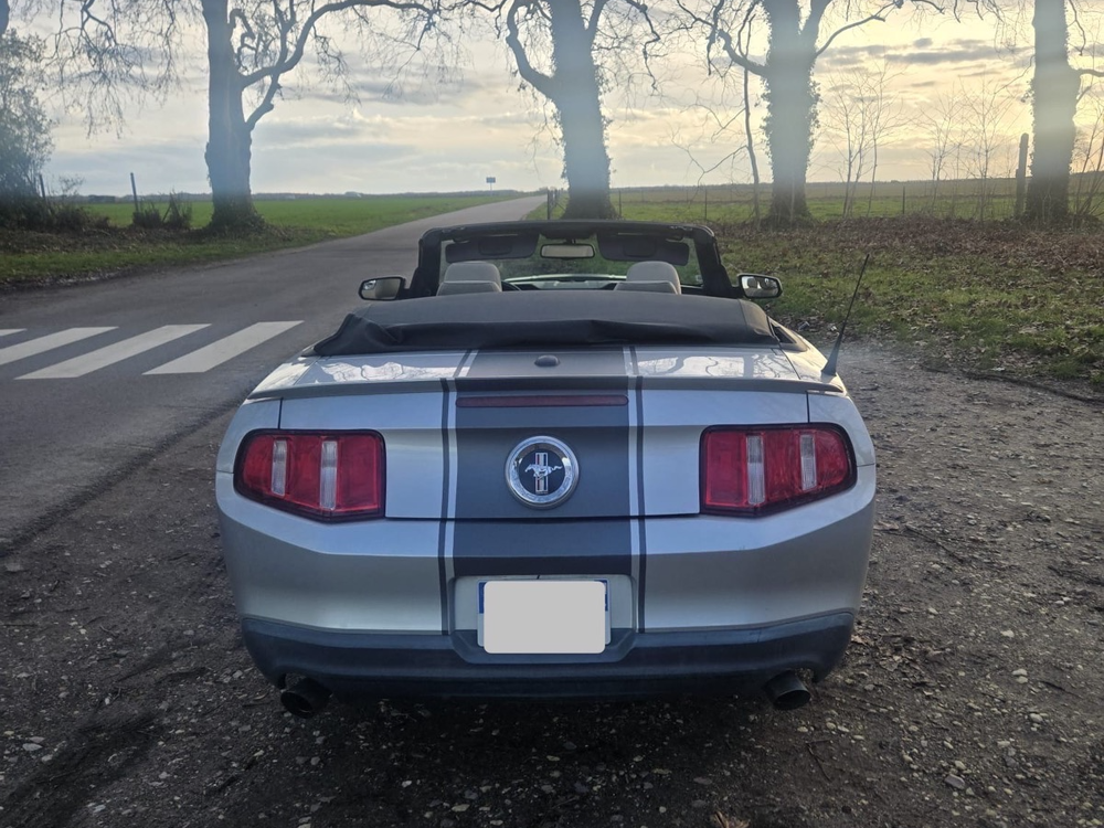 Mustang CABRIOLET V6 305 CH BVA - 24900€ 2010 occasion 60300 SENLIS