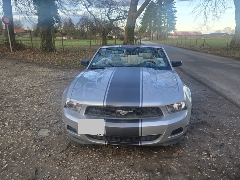 Mustang CABRIOLET V6 305 CH BVA - 24900€ 2010 occasion 60300 SENLIS