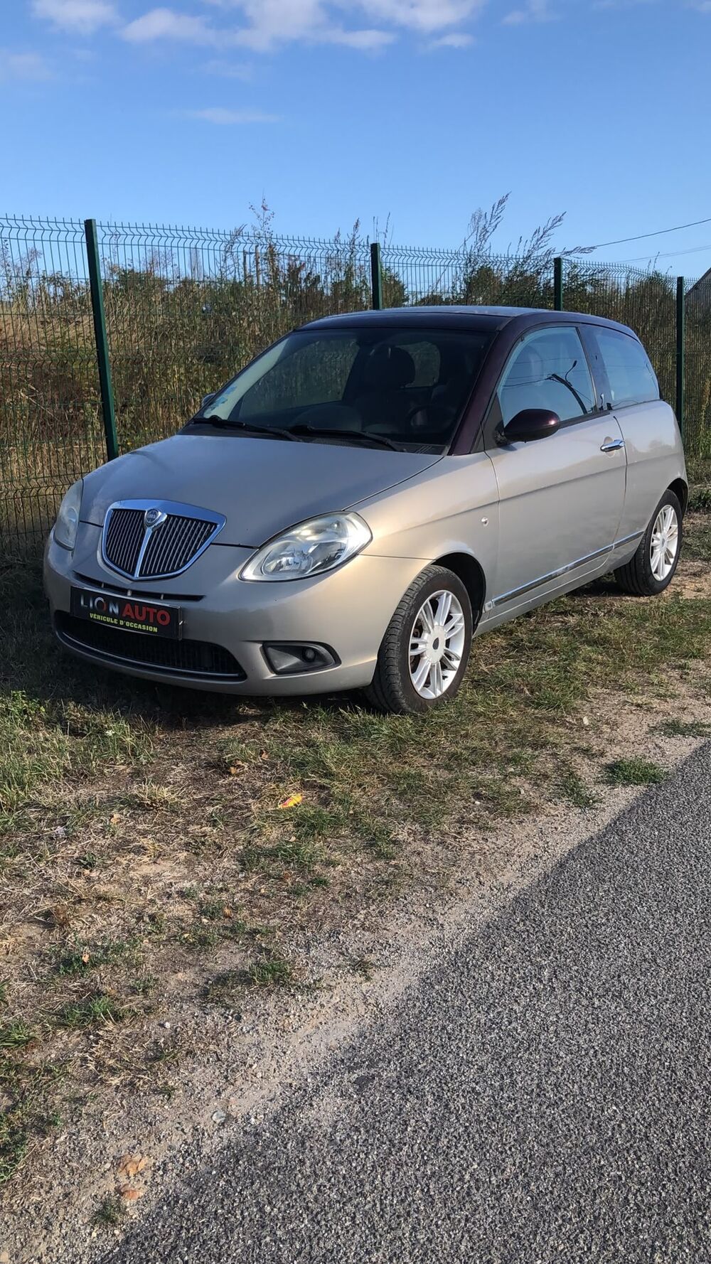 Ypsilon IV PHASE 2 3P 1.3 TD MULTIJET 16V 90CV 123331KM 2009 occasion 45600 Lion-en-Sullias