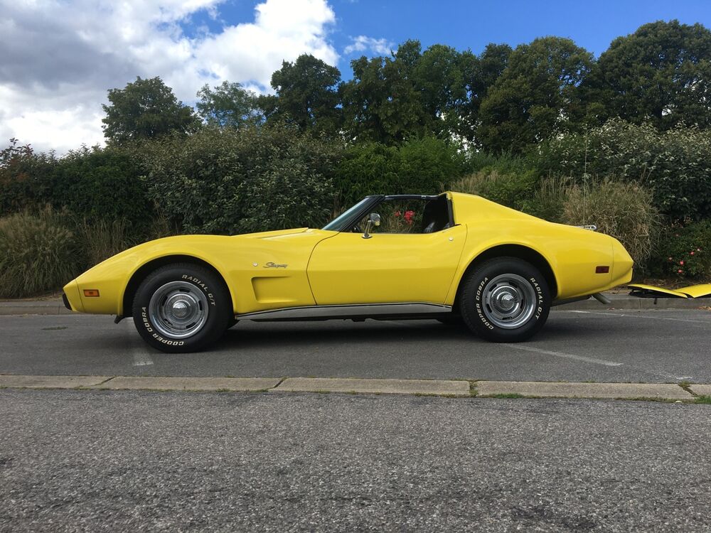 Corvette C3 STINGRAY 5.7L V8 DE 1977 - 24900€ 1977 occasion 60300 SENLIS
