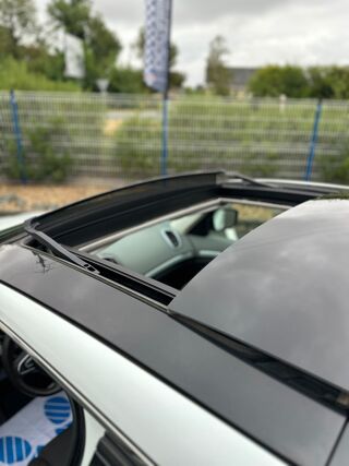 Espace DCI 160 ZEN EDC / MOTEUR A CHAINE / GARANTIE 12 MOIS 2015 occasion 49290 MAUGES SUR LOIRE