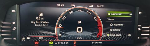 Fabia 1.5 TSI 150Ch MONTE CARLO DSG7 CARPLAY / TOIT PANO / CAMERA 2023 occasion 34500 B&eacute;ziers