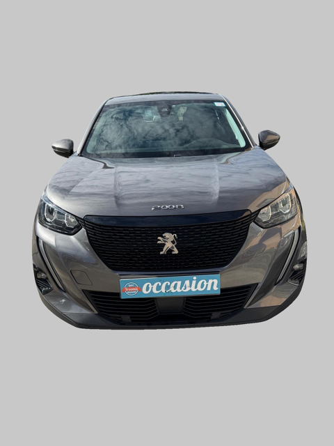 Peugeot 2008 1.5 BlueHDi 110ch Active Business GARANTIE 12 MOIS 2021 occasion Marsannay-la-C&ocirc;te 21160