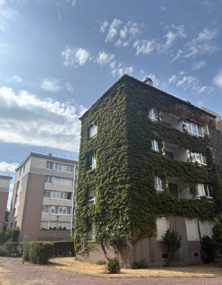  Appartement à louer 2 pièces 54 m²