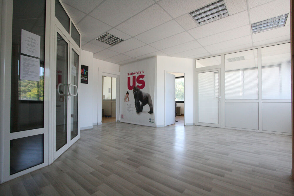   bureaux dernier étage - vue montagne Argonay