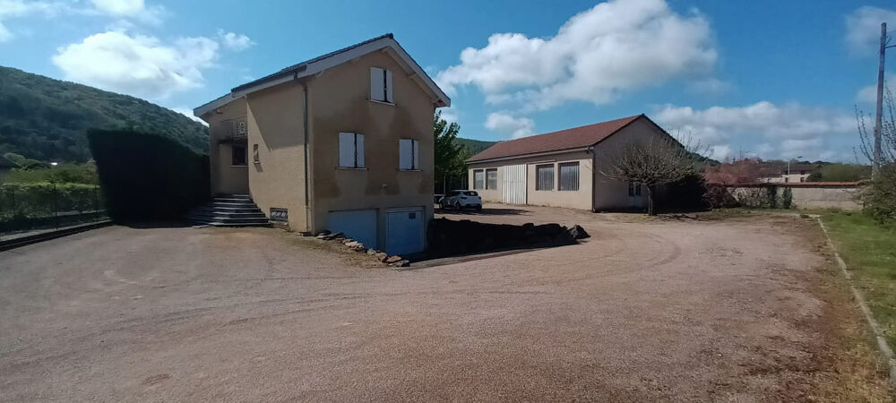 2 MN CENTRE CREMIEU VILLA AVEC DEPENDANCE SUR 2138 M2 DE TERRAIN